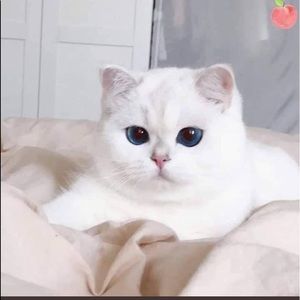 Meet your Posher, Daniela